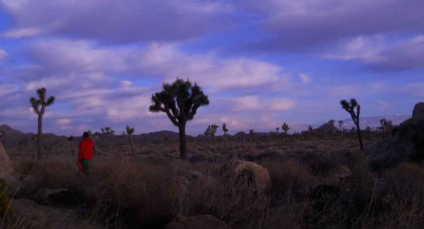 backpacking trip in joshua tree